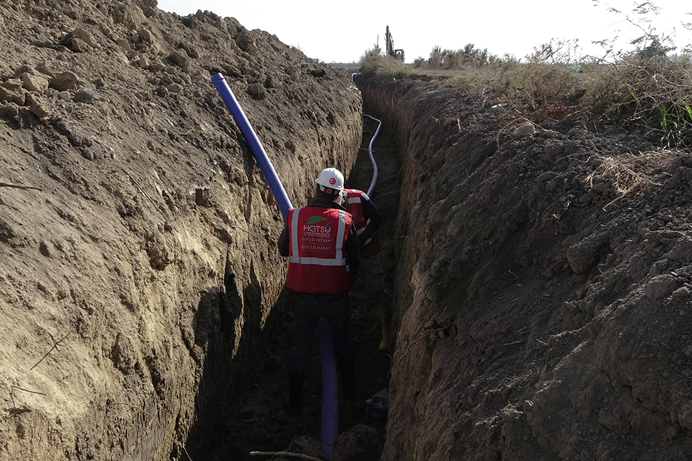 Dsc00864 20260316111949