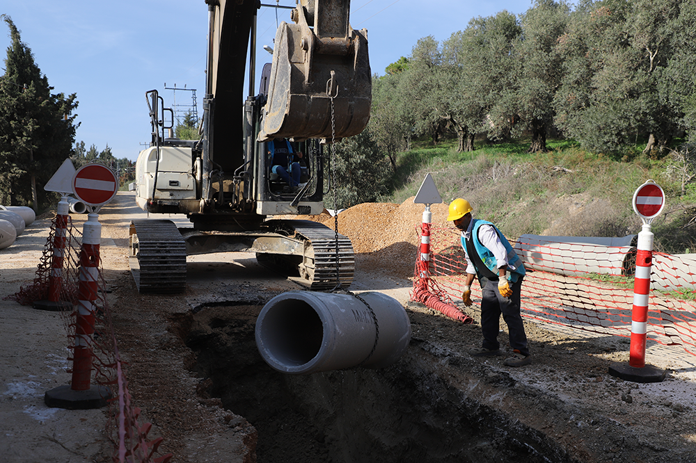 Img6342 20260304134006