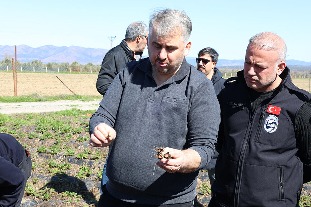 Rl8A4004 20260306163636