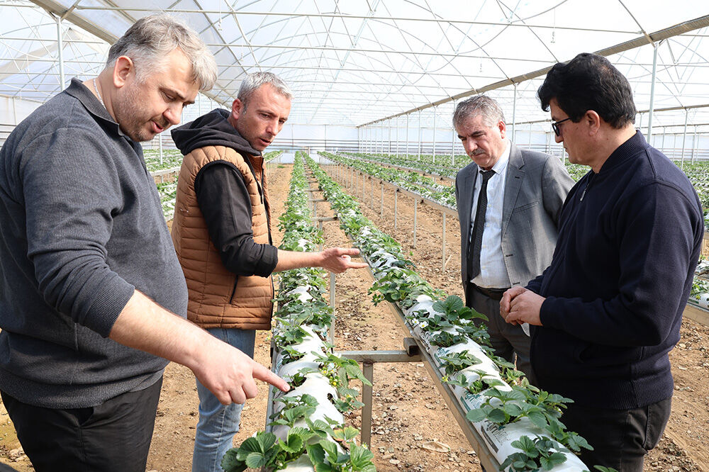 Rl8A4140 20260306163636