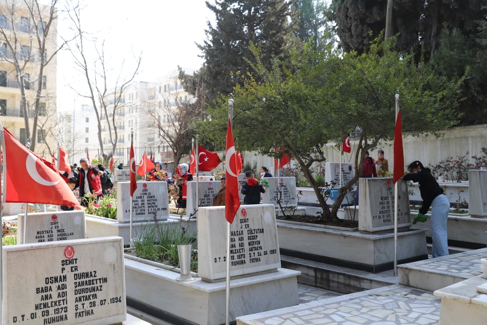 Whats App Image 2026 03 13 At 11.52.381