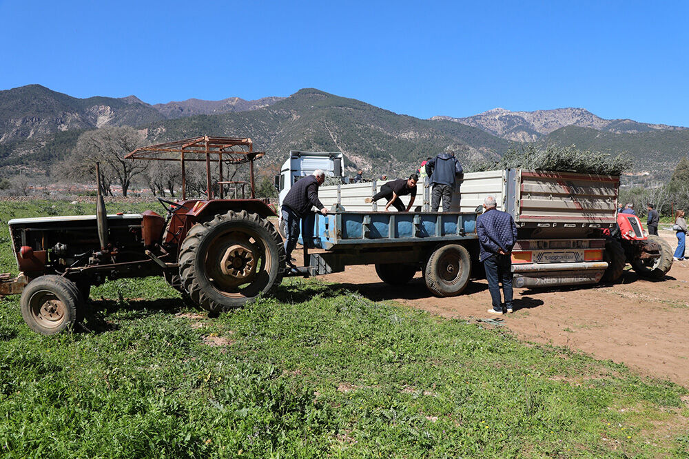 Whatsapp Image 2026 03 13 At 15 02 17 1 20260315171415