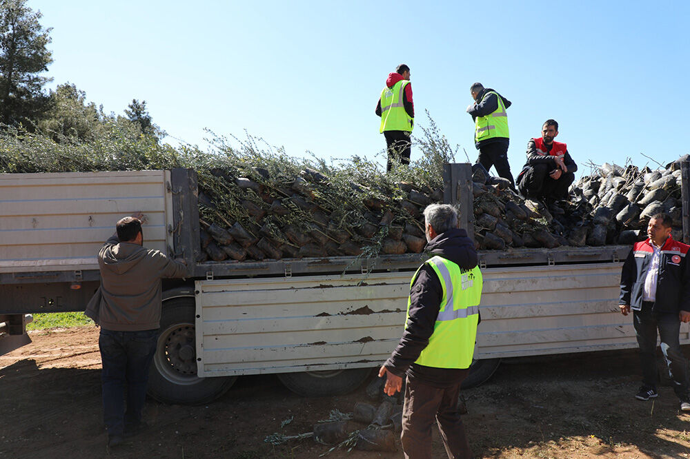 Whatsapp Image 2026 03 13 At 15 02 22 2 20260315171416