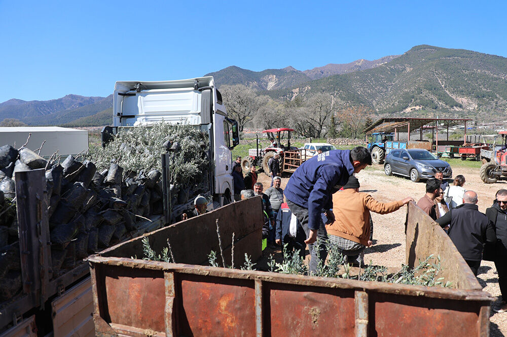 Whatsapp Image 2026 03 13 At 15 02 23 20260315171417