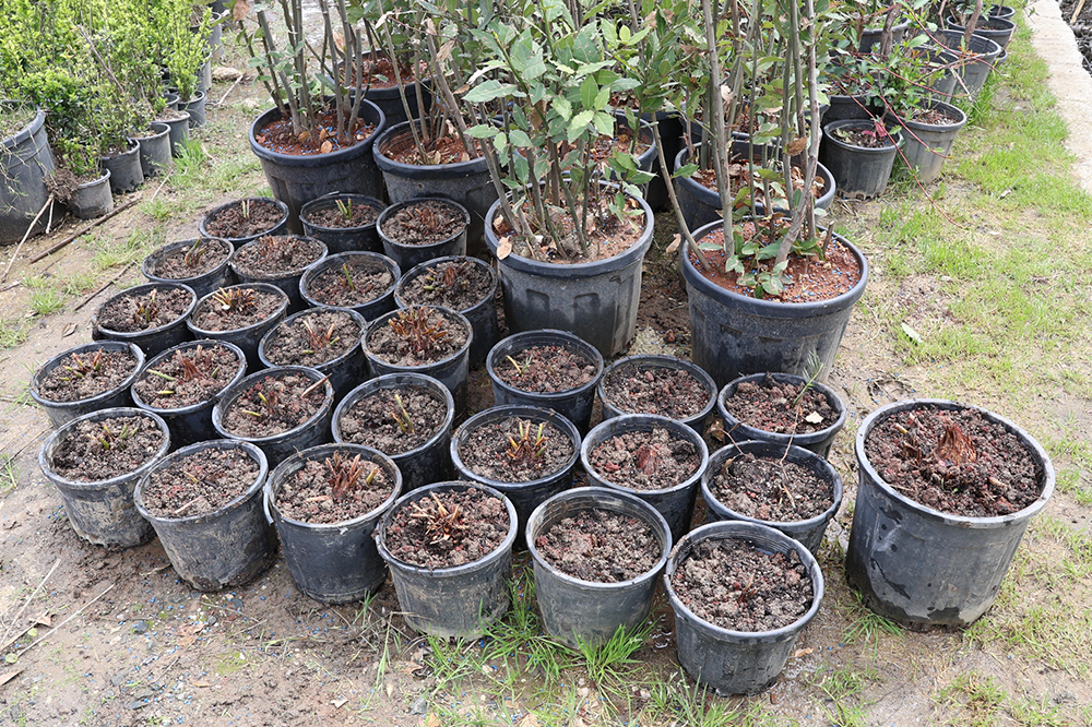 Whatsapp Image 2026 03 26 At 14 10 58 20260326163001