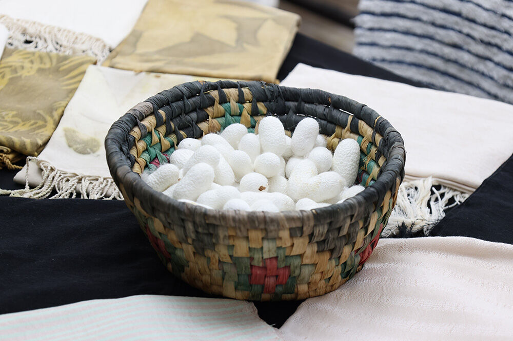 3 G7 A6279 20260421162447921