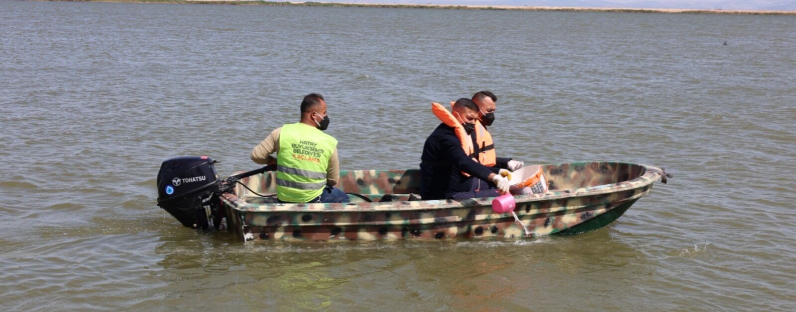 991A6A56 70B6 4757 9509 D882A05Cf554