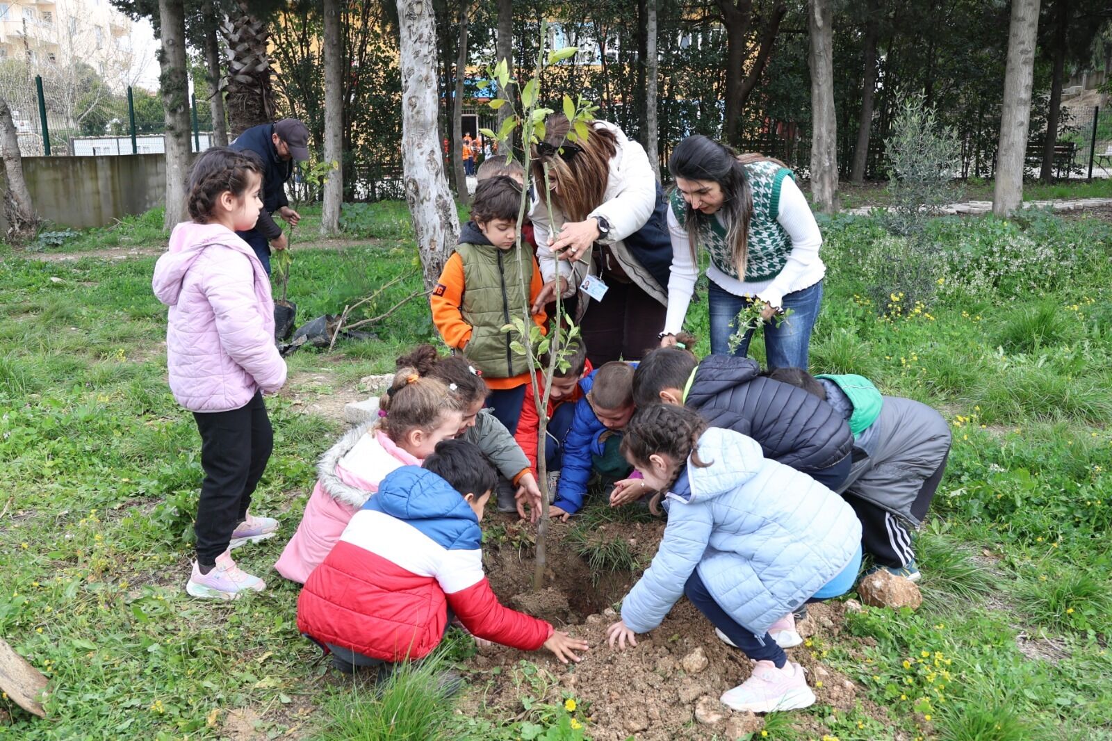 Any Conv.com 50F677Ca 13F5 4Ef5 81Cf 58Adf8Cd6894