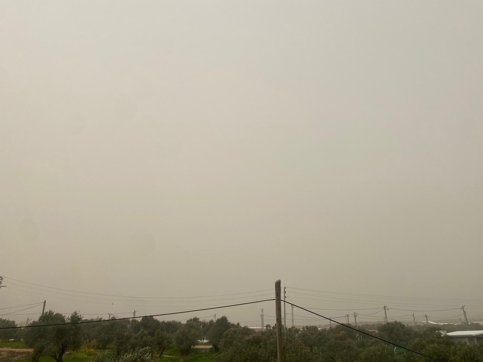 Any Conv.com B61D97E9 8E95 4Bd6 Baa4 01Ce8B567C59