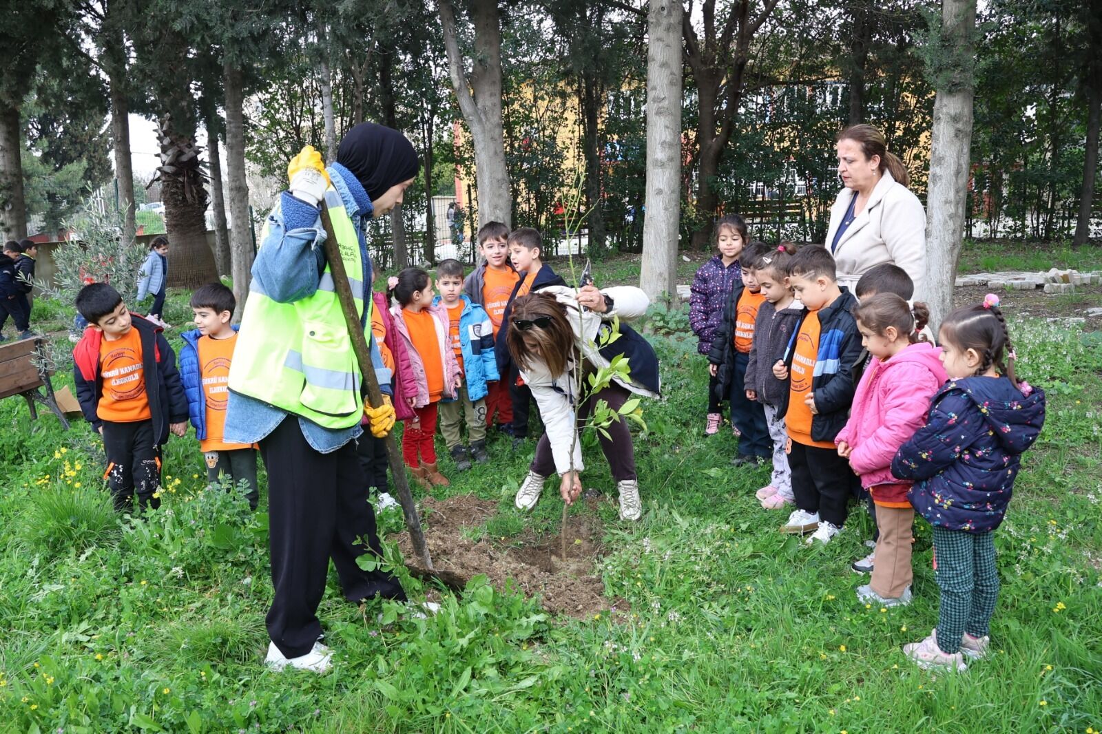 Any Conv.com C7E4Ab4F 33De 428D Aa14 B7F55211Afc5