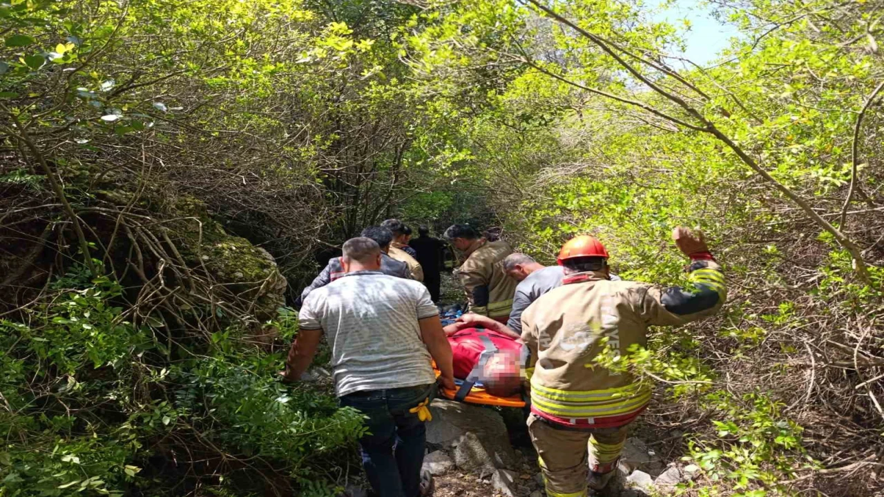 Ormanlik Alanda Ucurumdan Dusen Vatandas Yaralandi 2 1777464907